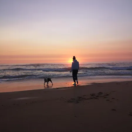 Cosy Mezzanine Proche Saint-Mathurin (Vendee)