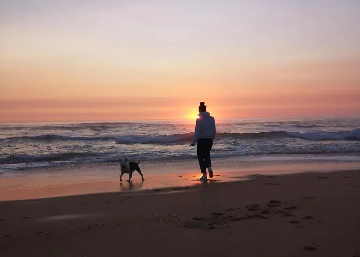 Cosy Mezzanine Proche Saint-Mathurin (Vendee)